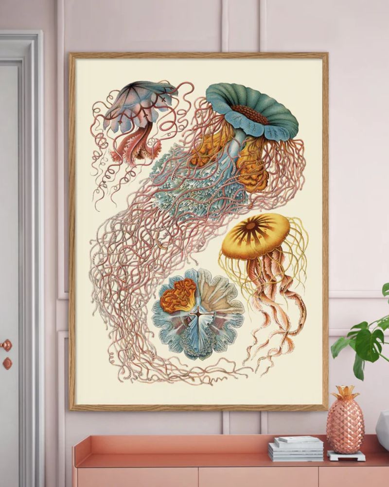 The Dybdahl Discomedusae Plakat 8200 70x100