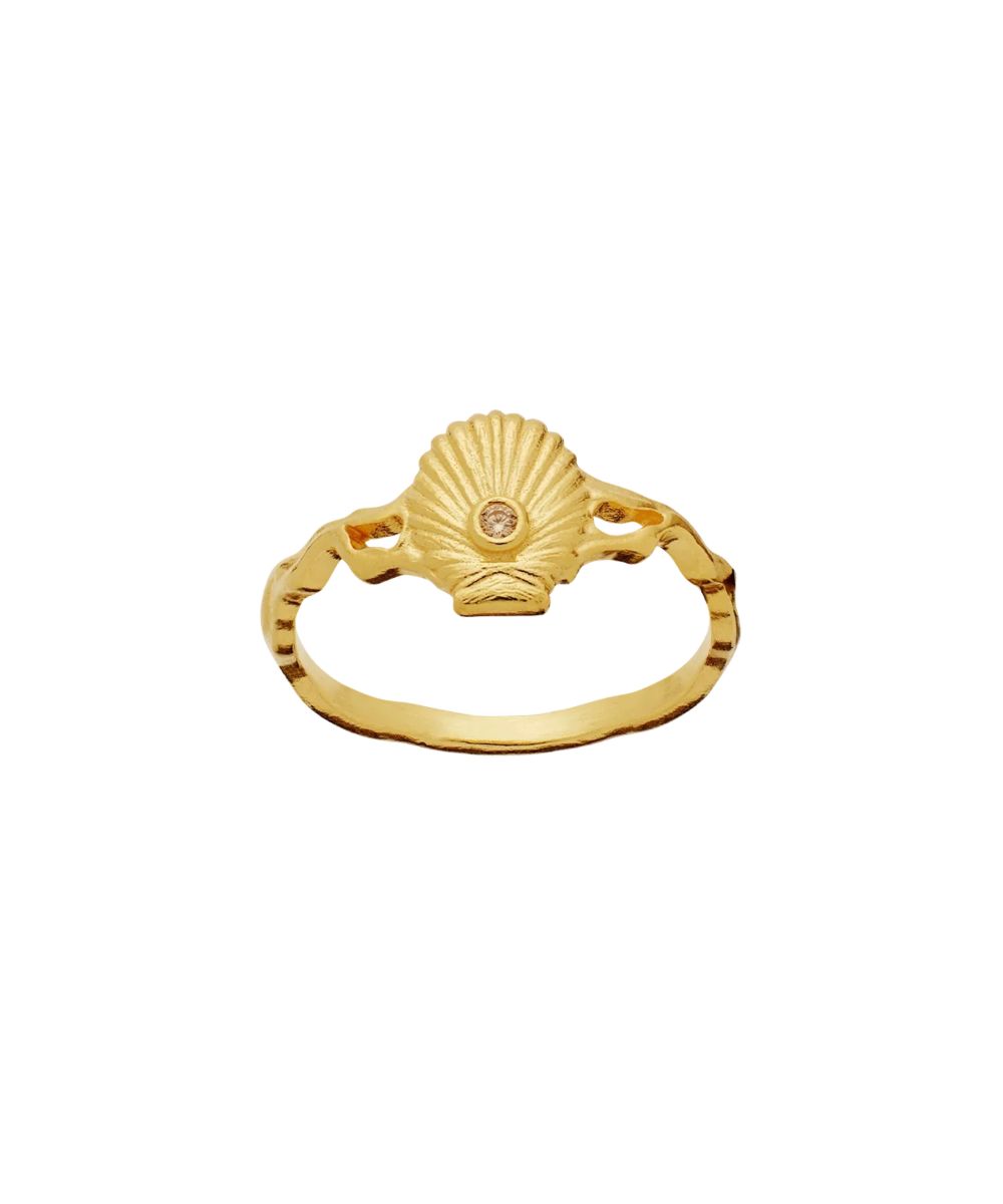 Maanesten Myra Ring Gull