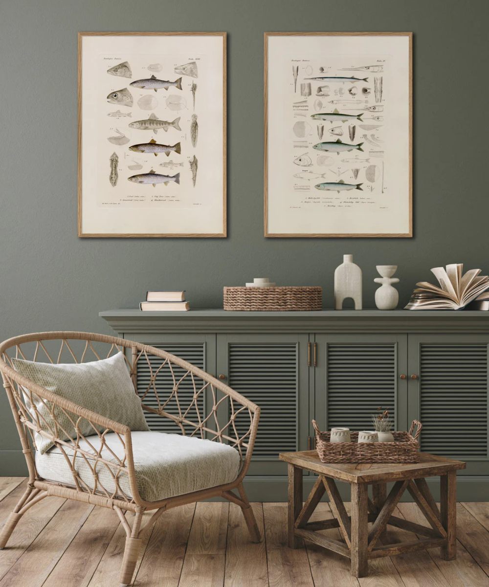 The Dybdahl Co. Fiske XV 7804 Plakat 70×100