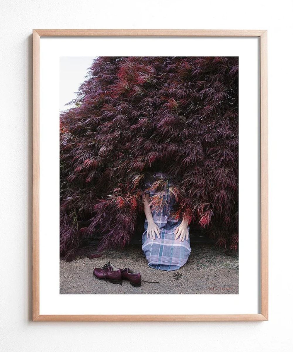Fine Little Day I Found A Bush Where I'll Live Now Plakat 40x50