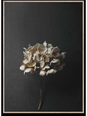 Paper Collective Still Life 04 poster av Pia Winther 50x70