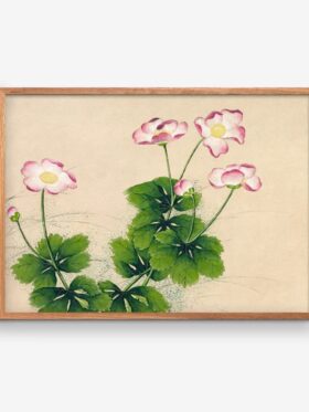 Empty Wall Mallow Flowers Zhang Ruoai Plakat 30x40