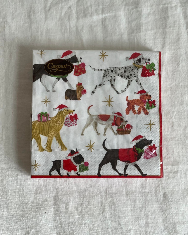 Caspari Juleservietter Lunsj Christmas Delivery White