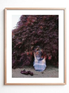Fine Little Day I Found A Bush Where I'll Live Now Plakat 40x50