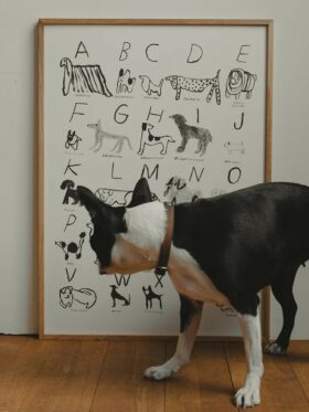 Fine Little Day ABC Dogs Plakat 50x70